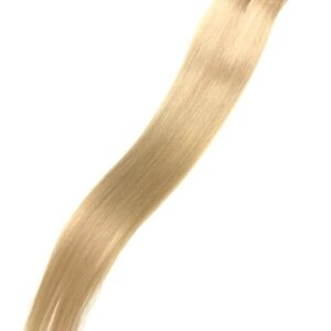 Ponytail - 101 Swiss Butter Cream