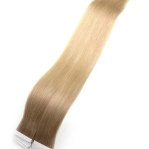 Tape Extensions - Belarus Highlight #8A-61 - Natural Hair