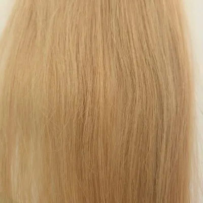 Dark Ash Blonde